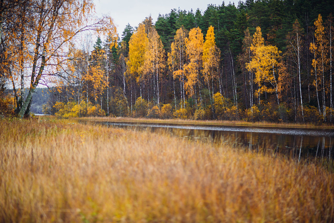 Осенняя Карелия Фото